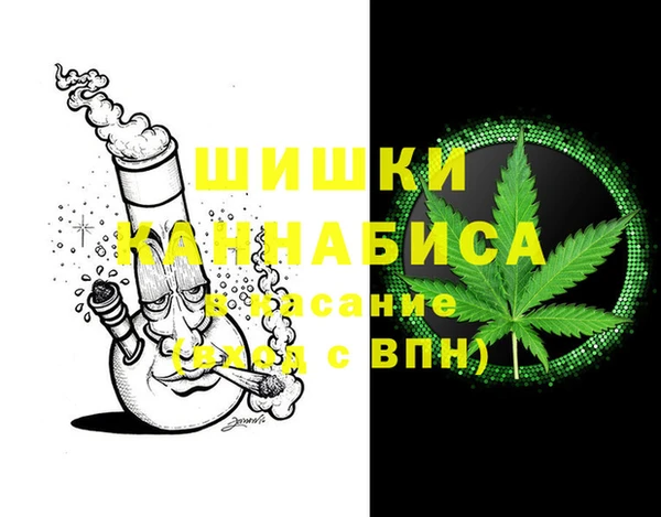 ГАЛЛЮЦИНОГЕННЫЕ ГРИБЫ Бронницы