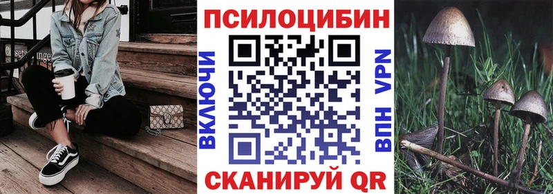 Купить Грязовец Галлюциногенные грибы GOLDEN TEACHER